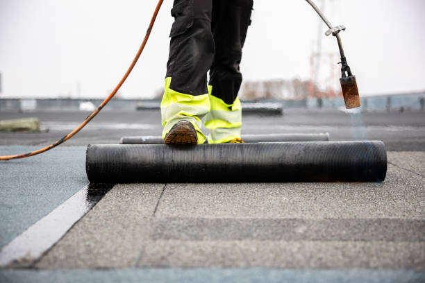 Best Rubber Roofing (EPDM, TPO)  in Fergus Falls, MN