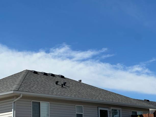 Best Metal Roofing Installation  in Fergus Falls, MN